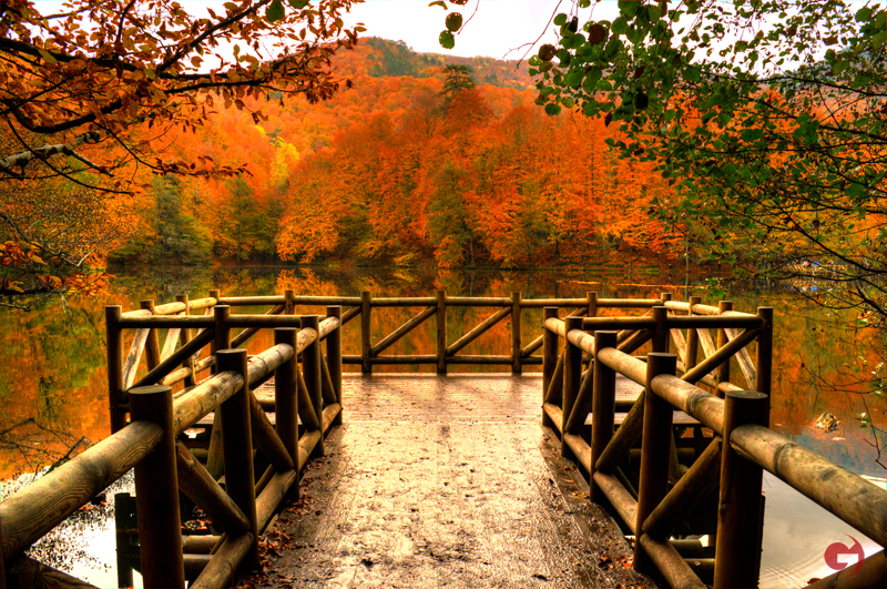Yedigöller / Bolu