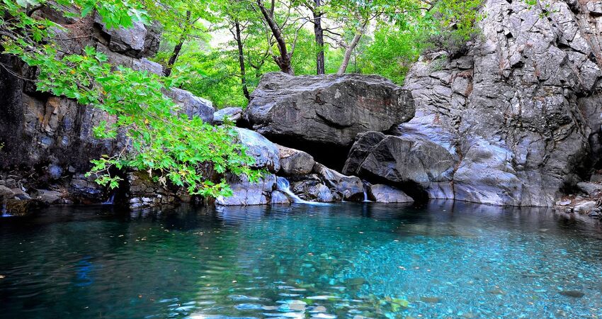 Kaz Dağları /