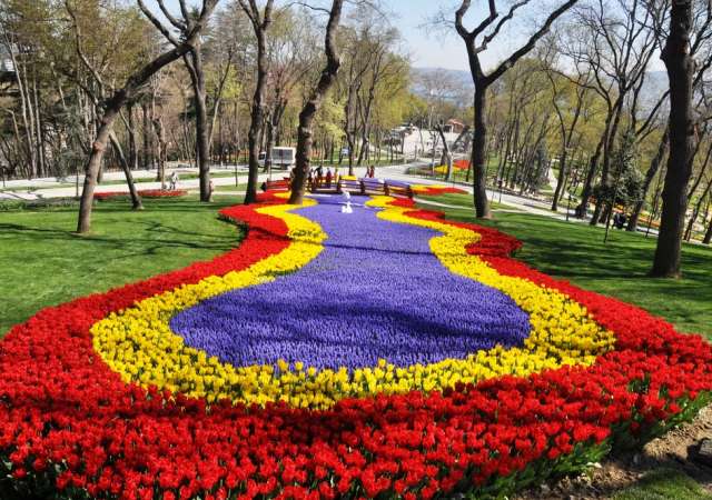 Emirgan Korusu / İstanbul