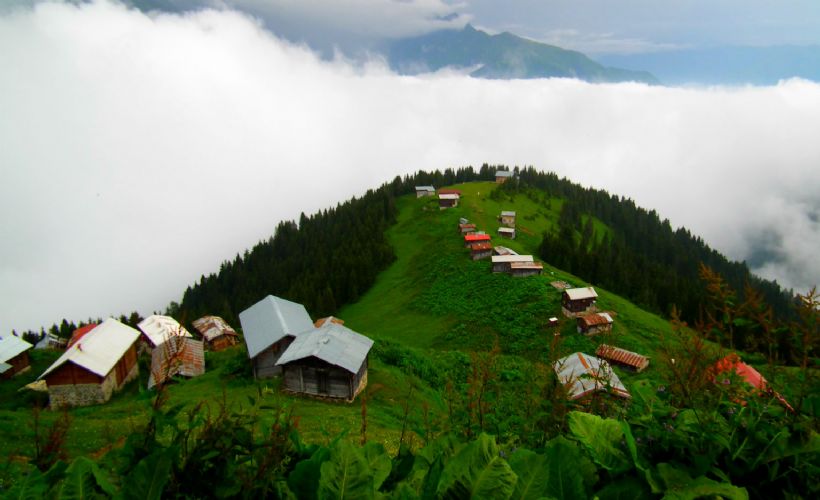 Pokut Yaylası / Rize