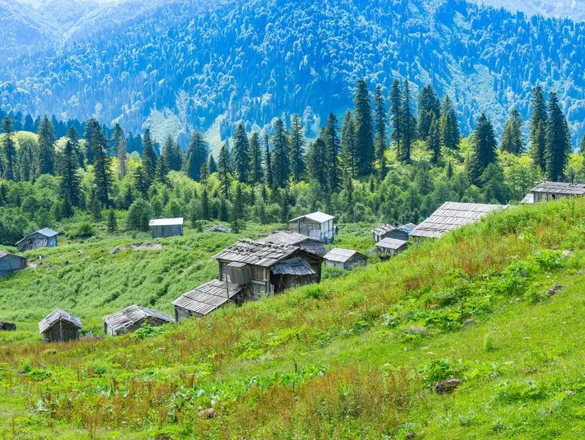 Gorgit Yaylası