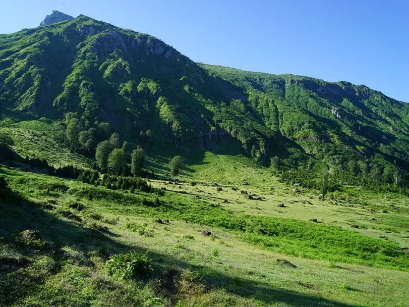 Camili Gorgit Tabiat Koruma Alanı