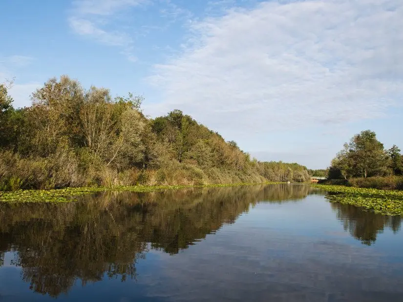 Sakarya Nehri