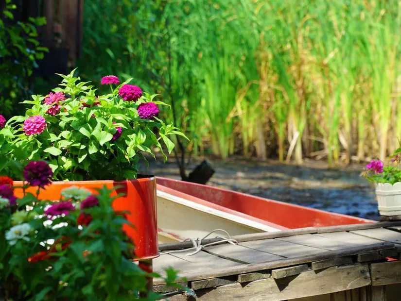 Sapanca Sanat Sokağı