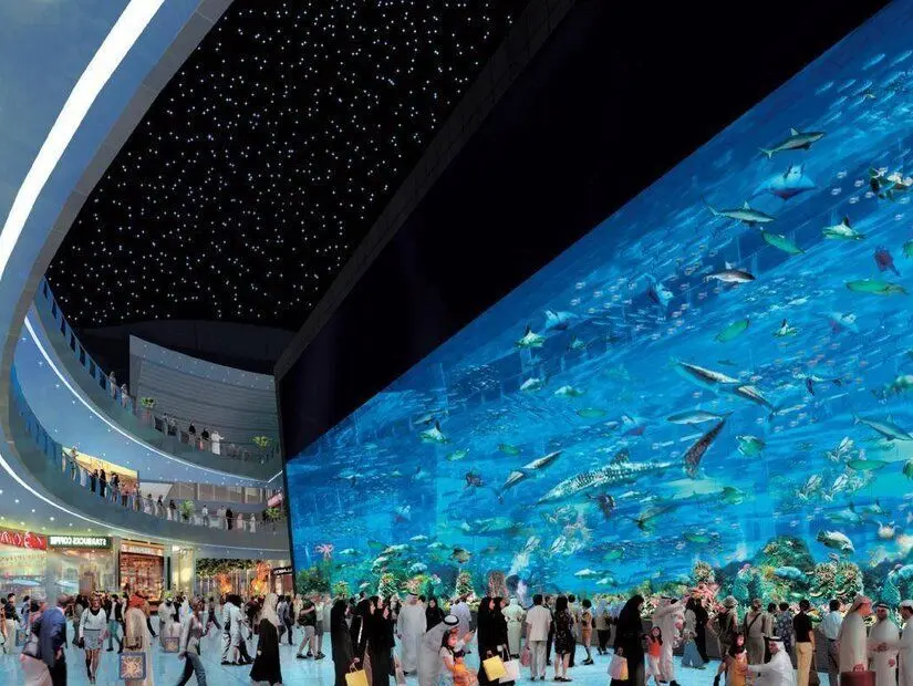 Dubai Akvaryumu ve Sualtı Hayvanat Bahçesi