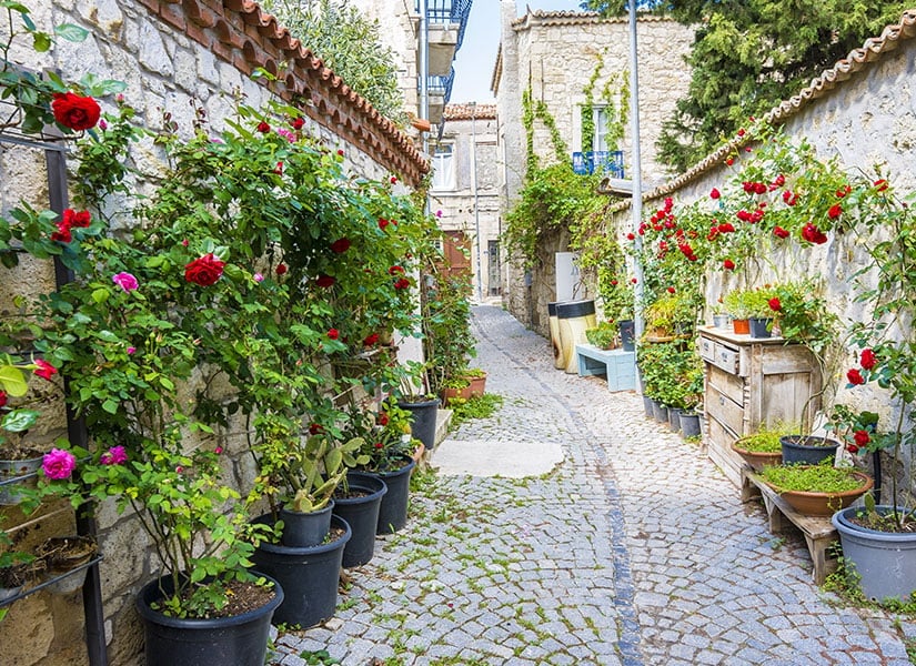 Alaçatı Sokakları