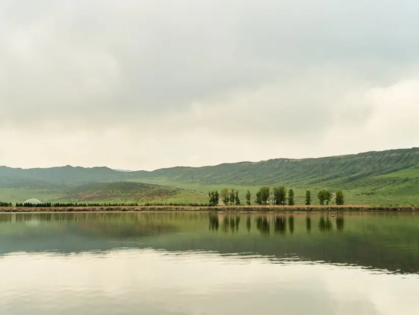 Lisi Gölü
