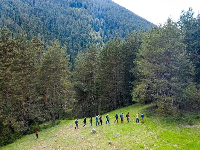 Koyulhisar Söbüce Yaylası