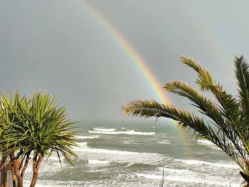Palm Beach Şile