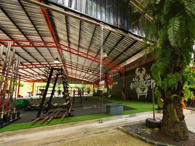 Tiger Muay Thai