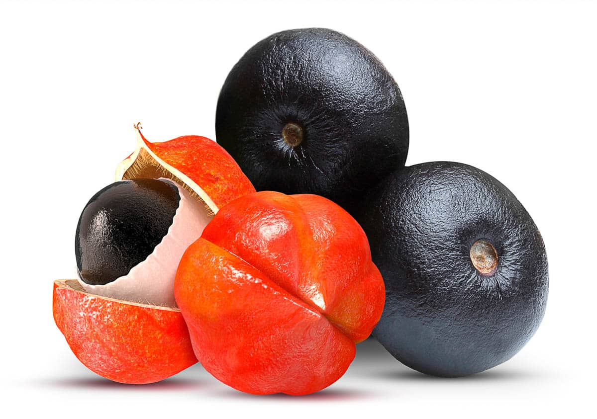 Guarana