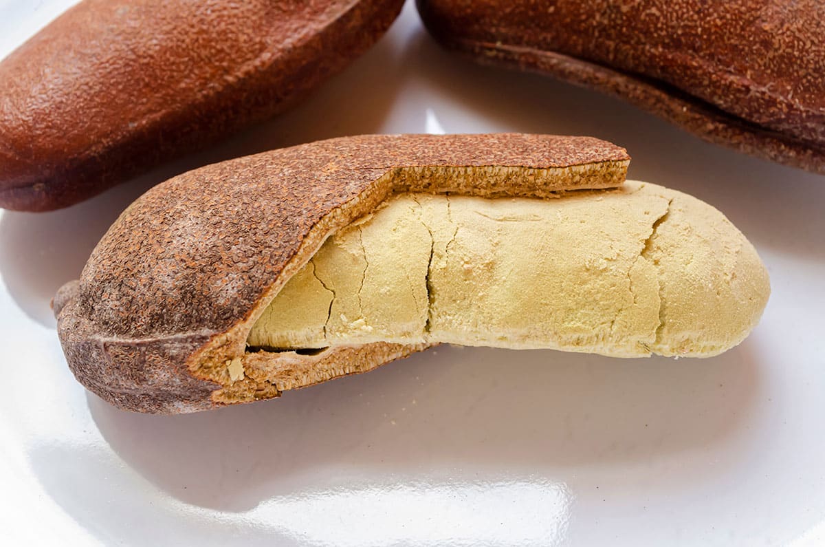 Jamaika muskatı