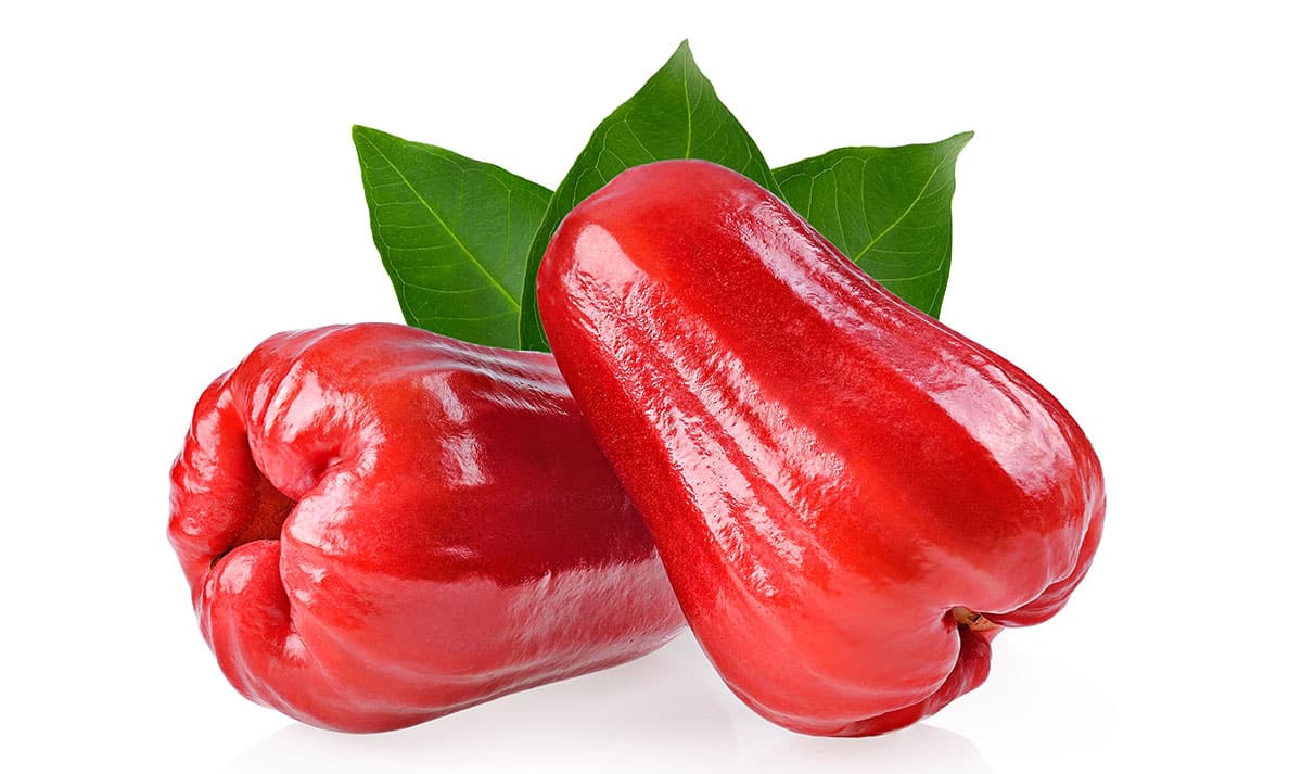 Java Apple