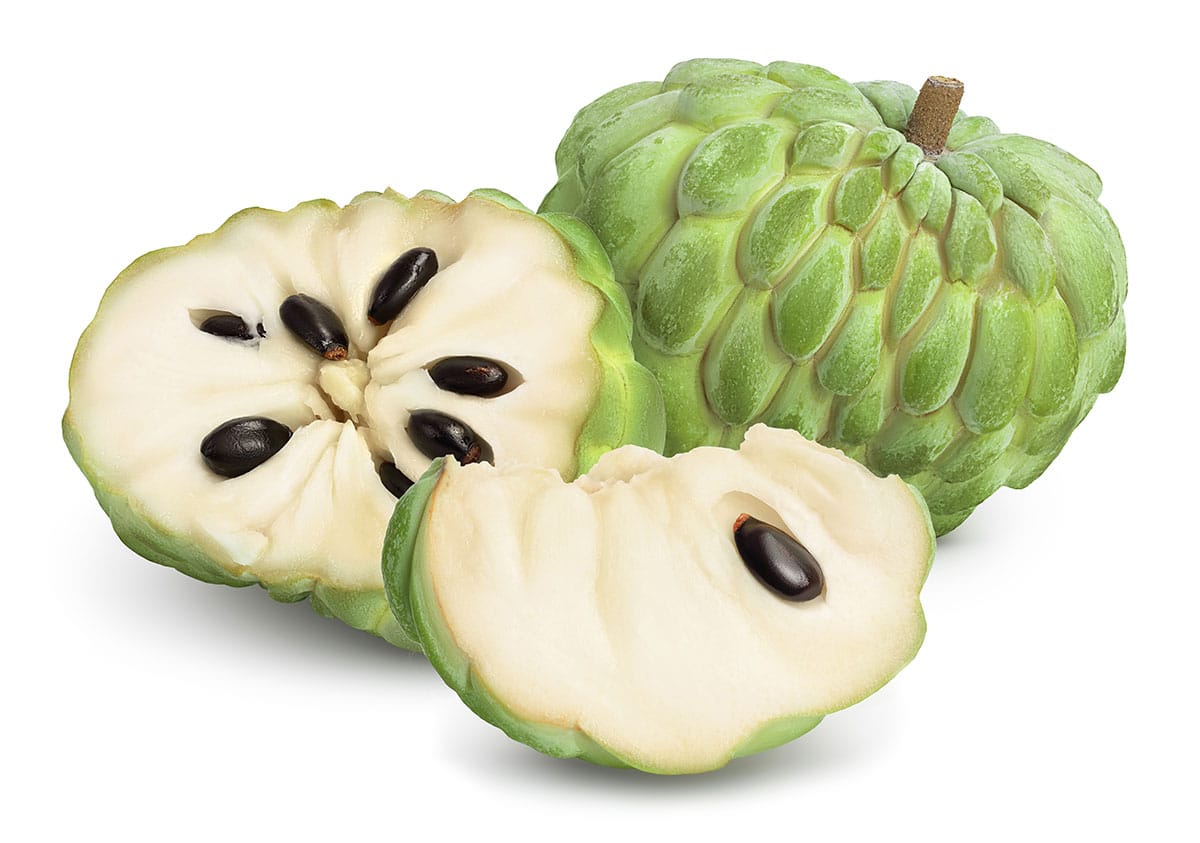 Junglesop Fruit