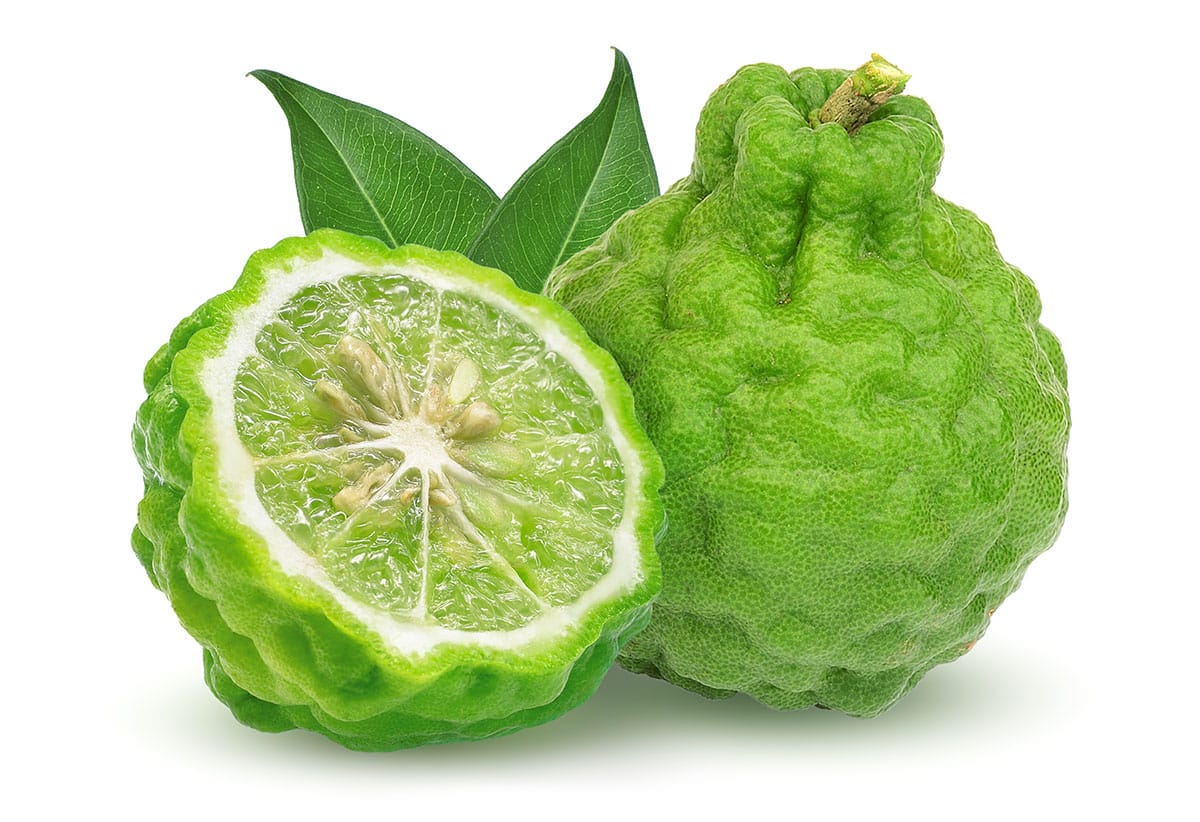 Kaffir Lime