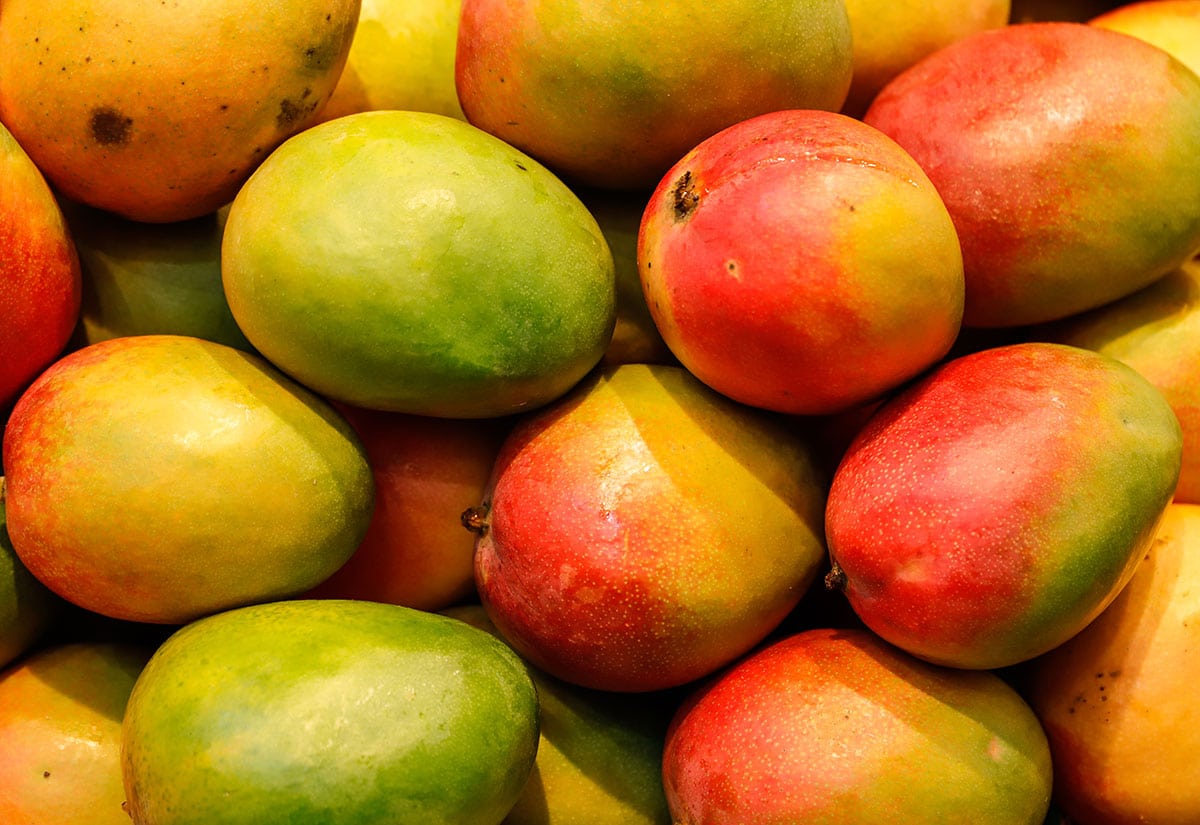 Mango