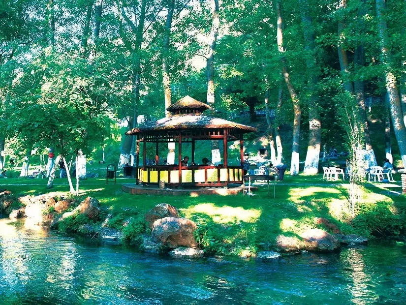 Türbin Mesire Yeri