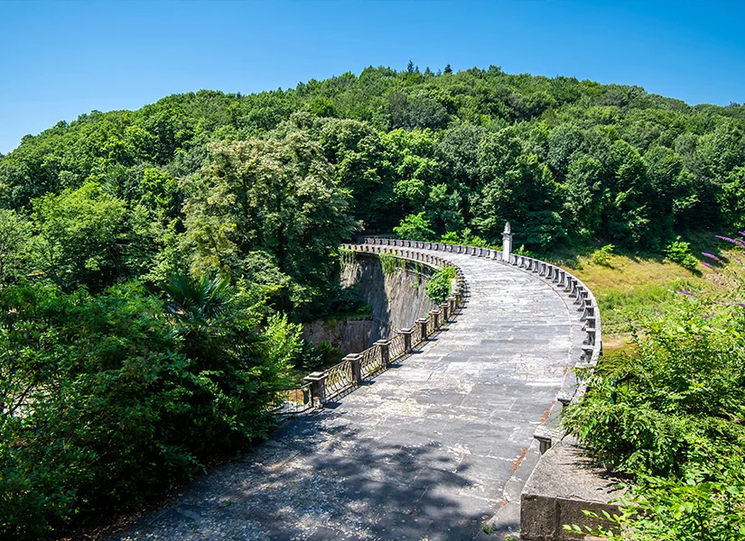 Belgrad Ormanı