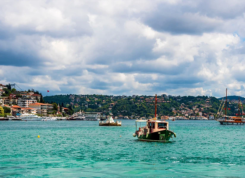 Bebek
