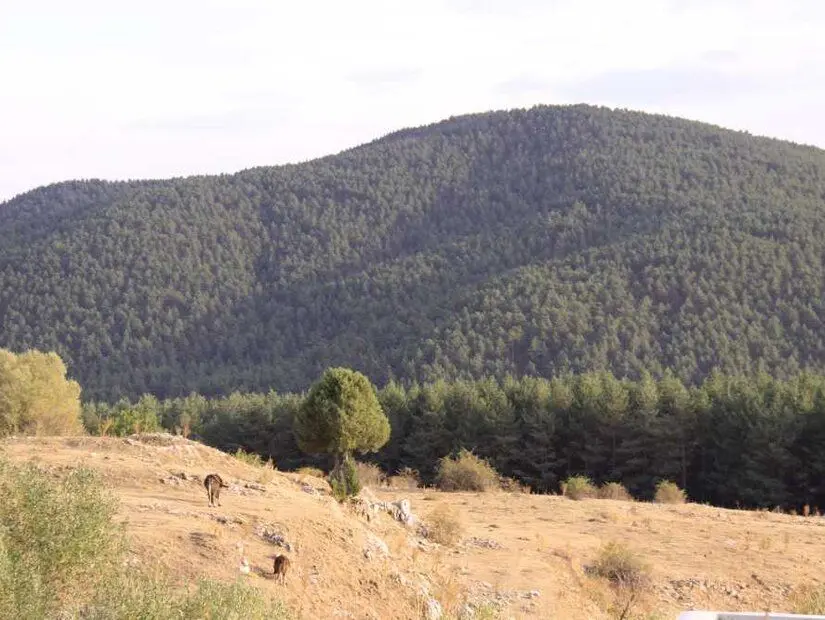 Bozok Yaylası