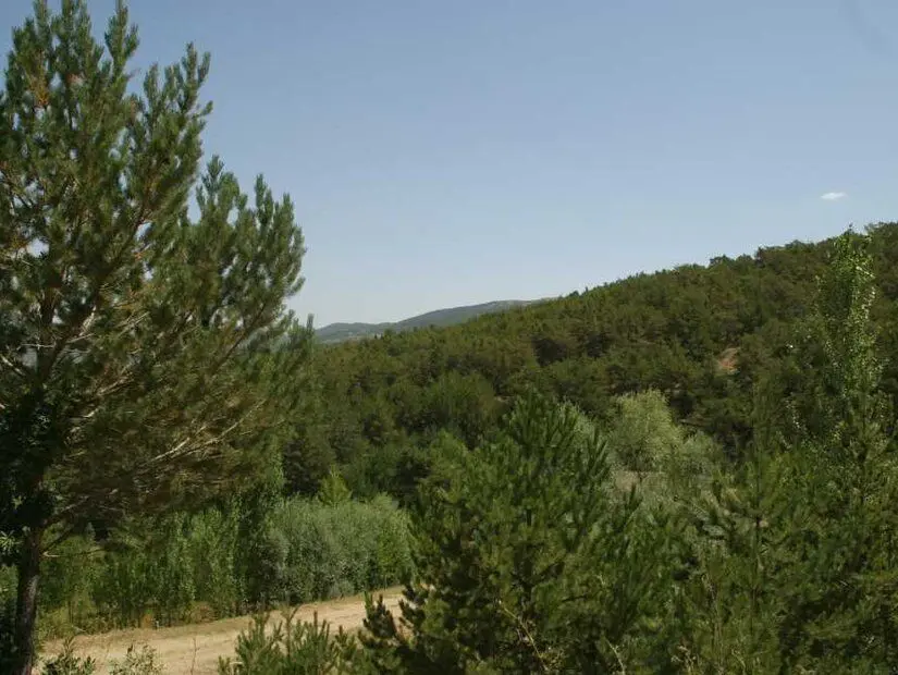Akdağmadeni Kadıpınarı Yaylası