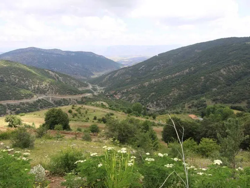 Şebekpınarı Yaylası