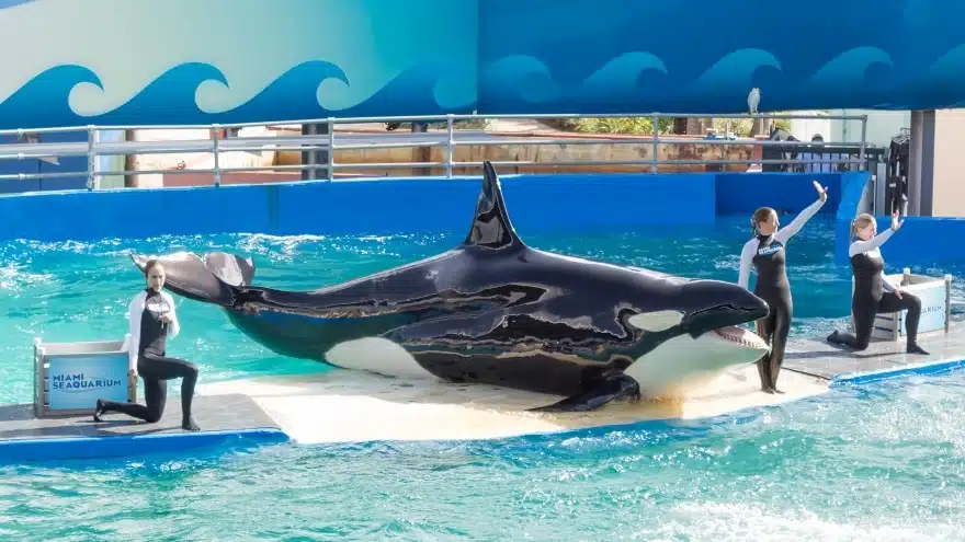 Miami Seaquarium