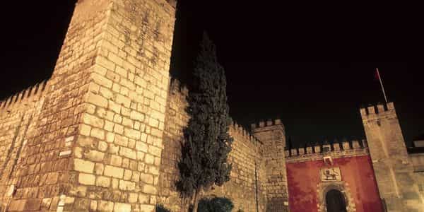 Seville Alcazar Sarayı (Sevilla)
