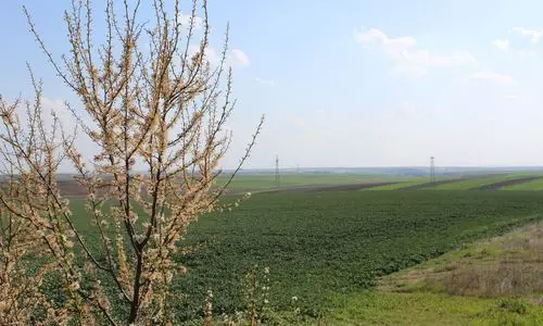 Lüleburgaz
