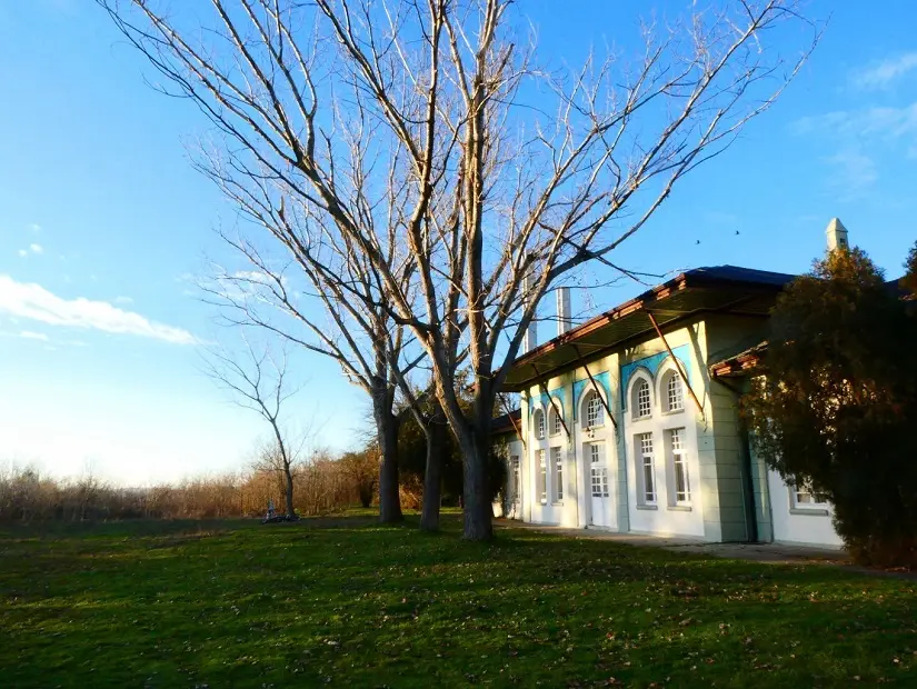Karaağaç