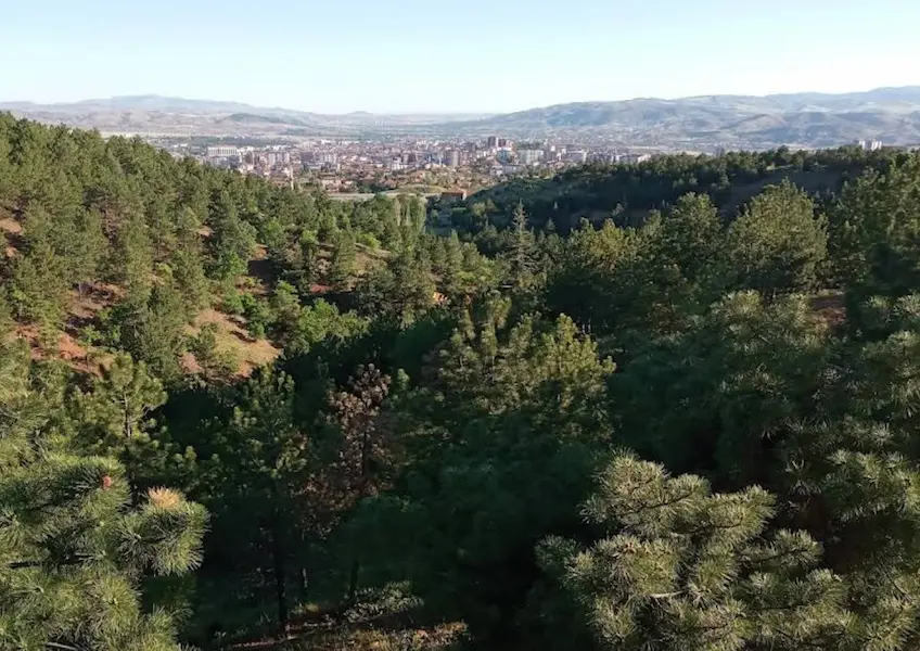 Kırıkkale Ormanı