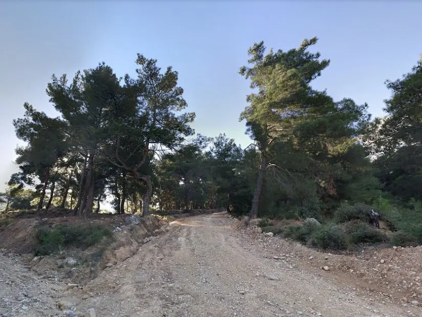 Manisa Kent Ormanı