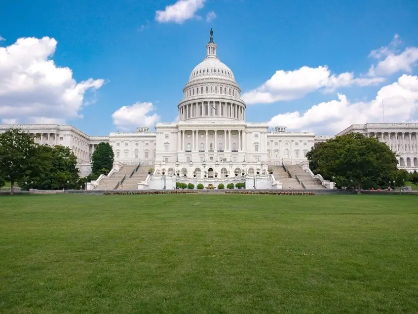 Washington D.C.