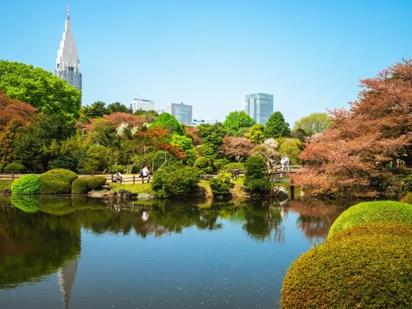 Shinjuku Gyoen Ulusal Bahçesi - Tokyo