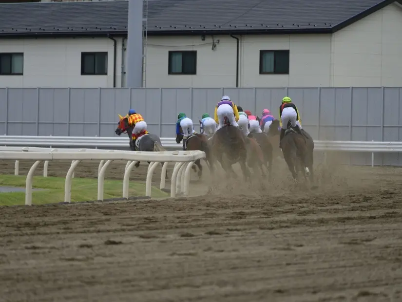 Tokyo Hipodromu
