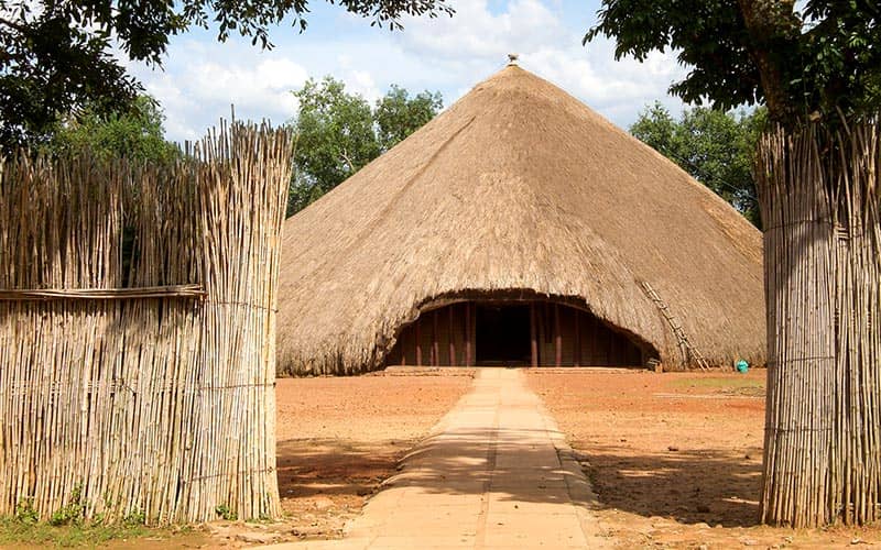 Kenya Dağı Milli Parkı / Doğal Orman, Kenya