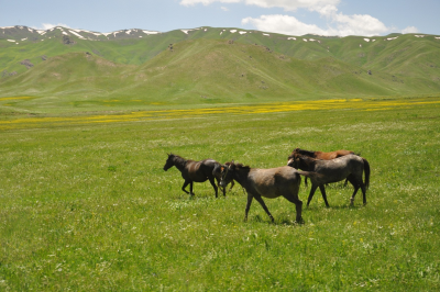 Doğa Yürüyüşü (Trekking) - Faraşin Yaylası