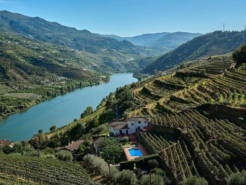Douro Vadisi