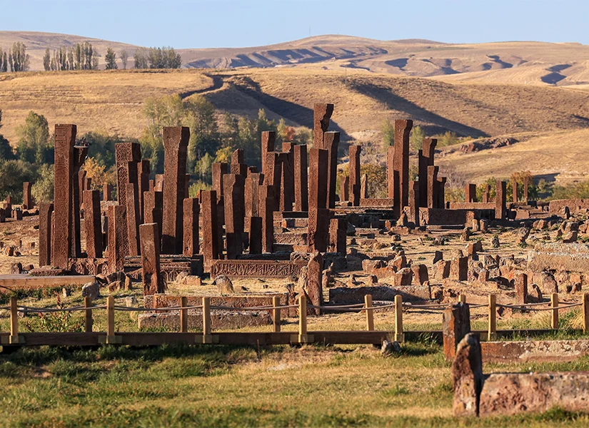 Ahlat Selçuklu Mezarlığı