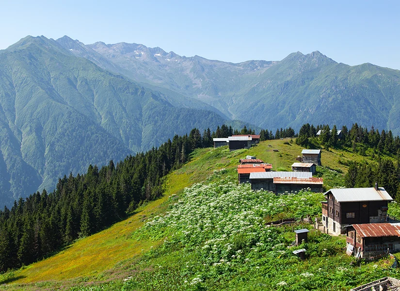 Pokut Yaylası’na Nasıl Gidilir