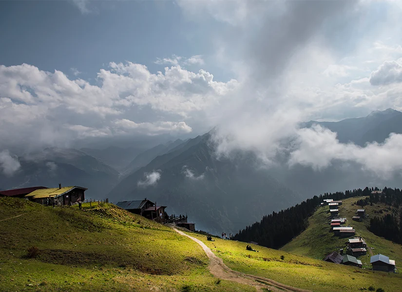 Pokut Yaylasının