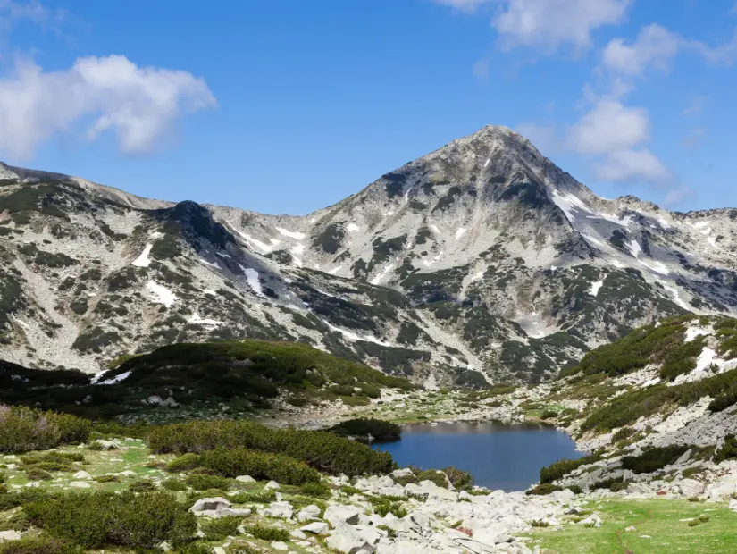 Pirin Milli Parkı