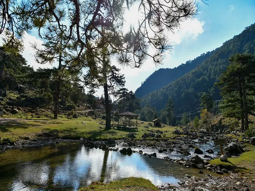 Başpınar Tabiat Parkı