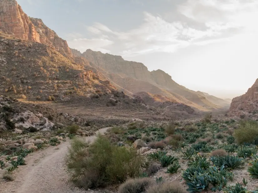 Wadi Dana