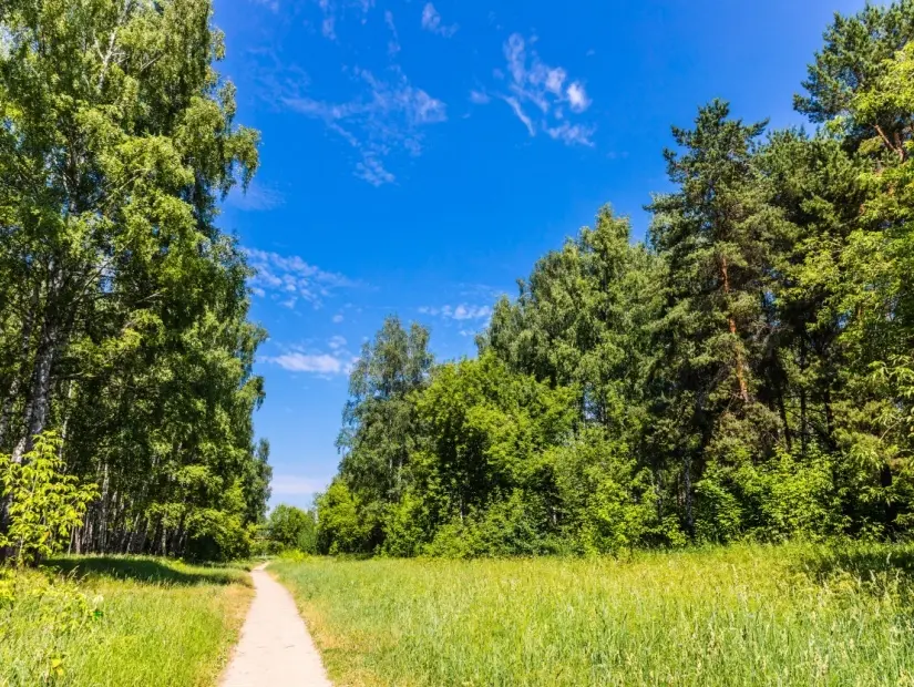Losiny Ostrov Ulusal Parkı - Moskova
