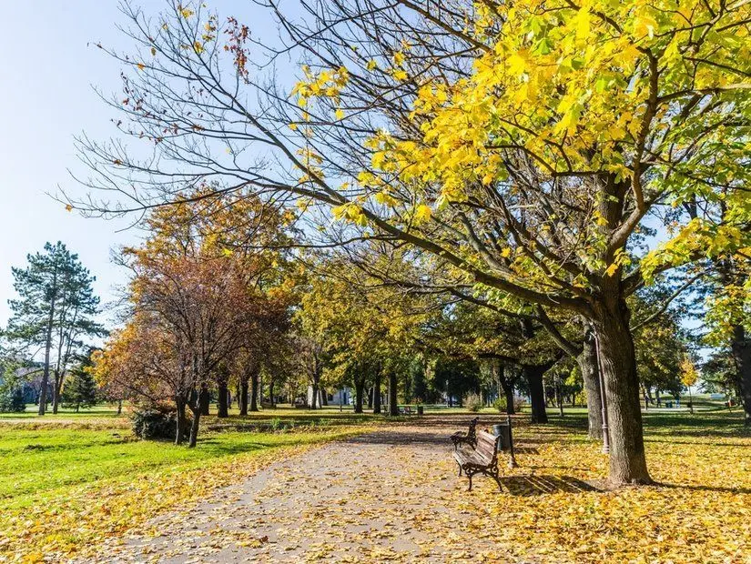 Kalemegdan Parkı
