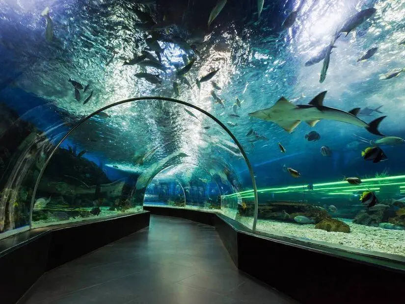 Manila Ocean Park