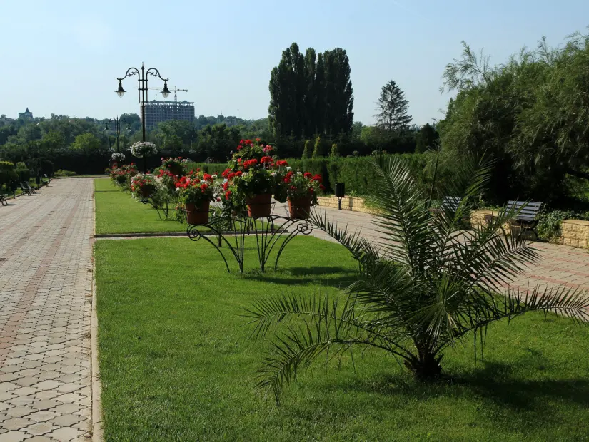Dendrarium Park
