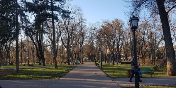 Stefan Cel Mare Parkı