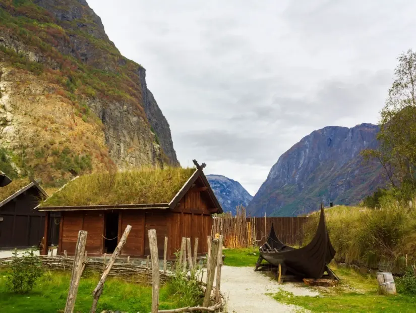 Viking Vadisi
